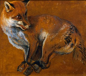 Renard aux pattes liées, par Alexandre-François Desportes, France - Alexandre Francois Desportes