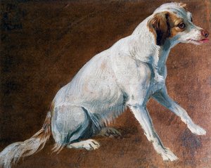 Ancêtre du Spaniel français, par Alexandre-François Desportes (1661-1743), France - Alexandre Francois Desportes