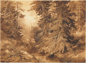 Une ancienne forêt de pins avec un ruisseau de montagne