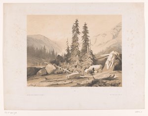 Paysage montagneux avec sapins et chèvres