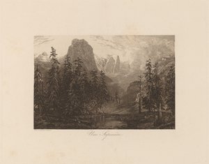 Une sapinière - Alexandre Calame