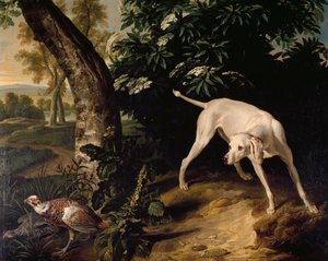 Scène de chasse (détail) - Alexandre Francois Desportes