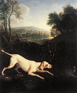 Le chien de Louis XIV, Tane