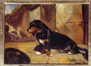 Un chien basset