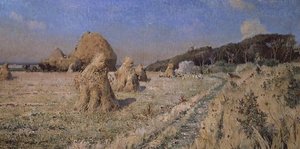 Gerbes de maïs dans un champ