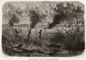 La tribu bongo chasse le rat des roseaux, gravure d