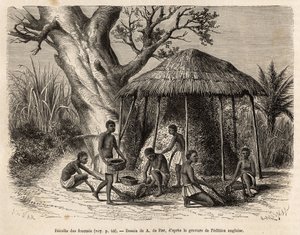 La récolte des fourmis, un toit de paille est érigé au-dessus de la fourmilière, les ailées s