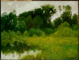 Après la pluie, sur Minnehaha Creek