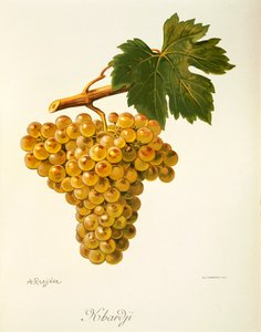 Raisin Khardji par A. Kreyder