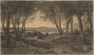 Un couple assis parmi les arbres au-dessus d