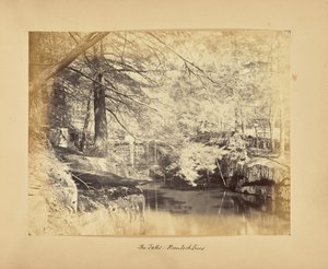 Les chutes - Les pruches - Alfred Booth