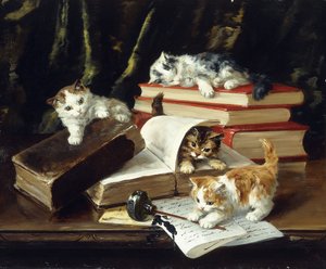 Chatons Jouant sur un Bureau