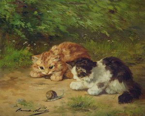 Chatons et escargot - Alfred Brunel de Neuville
