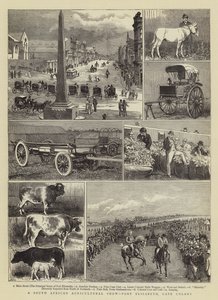 Une exposition agricole sud-africaine, Port Elizabeth, colonie du Cap - Alfred Chantrey Corbould