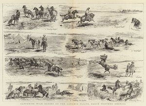 Capture de chevaux sauvages sur les plaines de Laramie, Amérique du Nord-Ouest