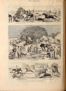 Chasse au porc au Bengale - Alfred Chantrey Corbould