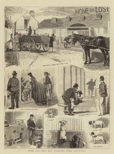 Maison pour chiens perdus et affamés, Battersea - Alfred Chantrey Corbould