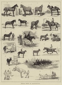 Exposition de chevaux à Manchester - Alfred Chantrey Corbould