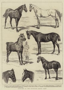 Croquis au Salon du Cheval d