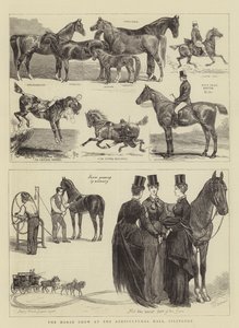 Le spectacle équestre au Agricultural Hall, Islington
