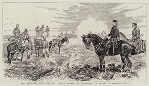 La batterie de mules de montagne, récemment formée à Aldershot, en action sur le camp de César