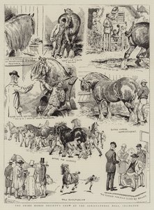 Exposition de la Société des Chevaux de Trait à l