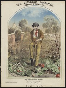 Le jardinier flétri - Alfred Concanen
