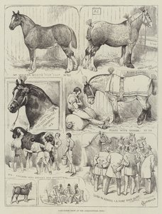 Exposition de chevaux de trait au Agricultural Hall