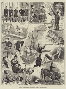 Divertissements de vacances, notes de notre artiste au cirque de Hengler - Alfred Courbould