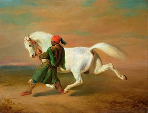Image inconnue - Alfred Dedreux