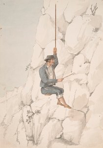 Gomero, cueilleur d