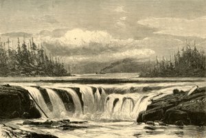 Chutes de la Willamette