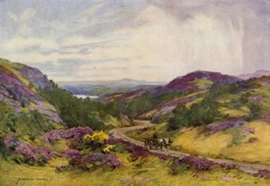 Danemark : Collines de Raebild, près d