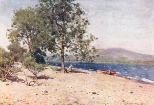 District des Lacs : Bassenthwaite Lake, un matin venteux