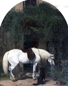 Cheval blanc et retriever - Alfred Hichens Corbould