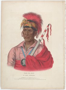 Tah-Ro-Hon, un guerrier Ioway - Alfred Hoffy, after Charles Bird King