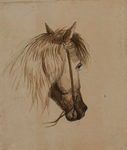 Tête de cheval - Alfred Jacob Miller