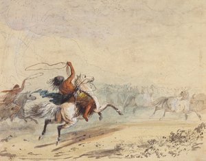 Lassoing des chevaux sauvages, vers 1837 - Alfred Jacob Miller