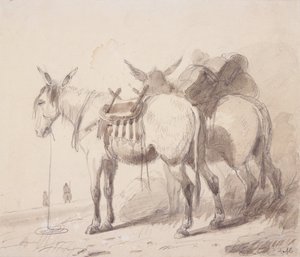 Équipement de mule, vers 1837