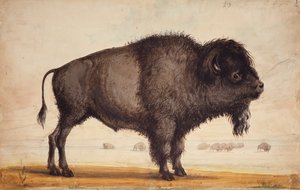 Sentant la brise, c.1837 - Alfred Jacob Miller