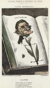 Fleur desséchée: Caricature de Littré - ill. du 01/02/1871 dans "Fleurs, Fruits et Légumes du Jour" - Alfred Le Petit