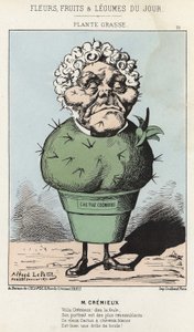Plante grasse: Caricature d