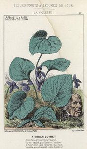 La Violette : caricature sur Edgar Quinet - ill. du 09/03/1871 dans « Fleurs, Fruits et Légumes du Jour » - Alfred Le Petit