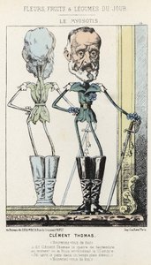 Le Myosotis: Caricature de Clément Thomas - ill. du 03/02/1871 dans "Fleurs, Fruits et Légumes du Jour" - Alfred Le Petit