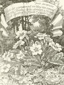 Pâles primevères - Alfred Parsons