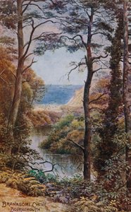 Branksome Chine, Bournemouth - Alfred Robert Quinton