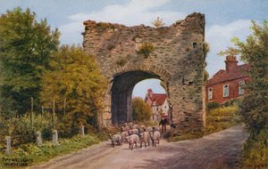 Porte de Pipewell, Winchelsea