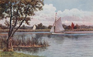 Salhouse Broad - Alfred Robert Quinton