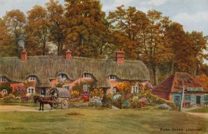 Swan Green, Lyndhurst - Alfred Robert Quinton
