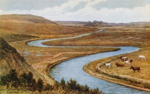 La vallée de Cuckmere, Seaford - Alfred Robert Quinton